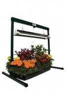 Small grow light system