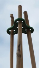 Plant Halos Green
