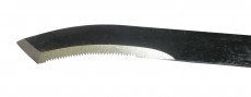 Asparagus harvester