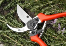 Bypass secateurs (orange handles)