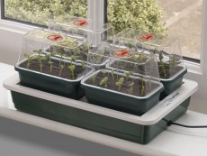 Fab 4 Propagator