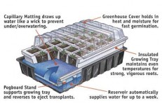 3 x Self watering propagators
