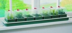 Super 7 Propagator
