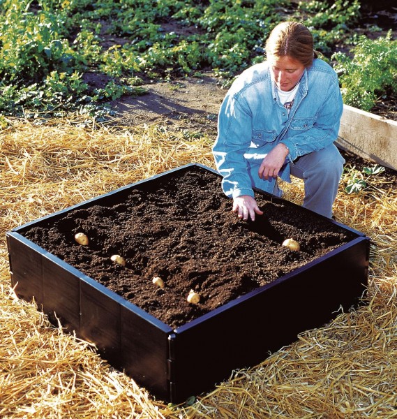 Garland Original Grow bed 3ft x 3ft with Extension Kit